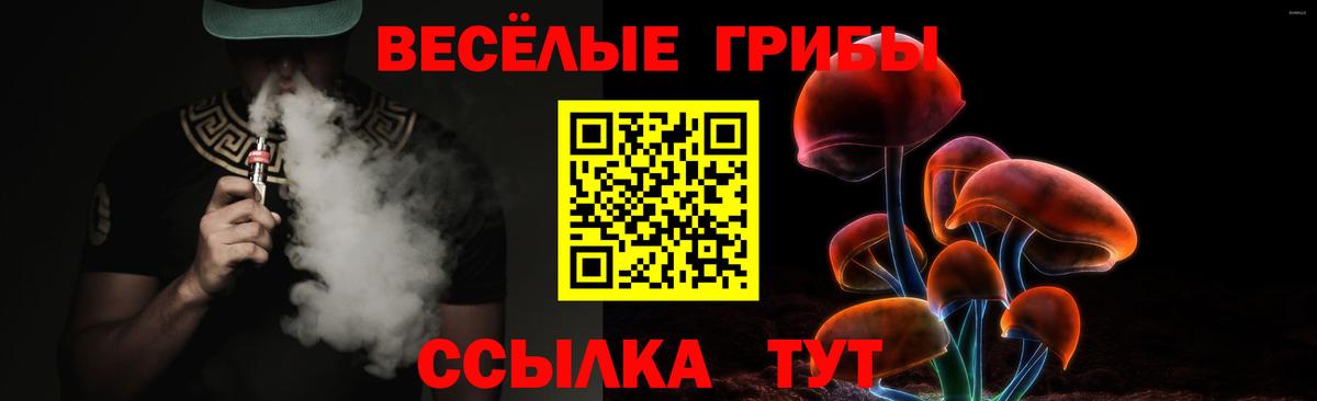 Нижнекамск  Псилоцибиновые грибы прущие грибы  Вход с VPN 